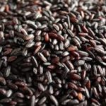 Riz complet noir "Venere" 500g