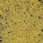 Vermicelles aux œufs 2.5kg