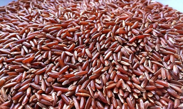 Riz complet rouge Ermes 500g - Pâtes artisanales des Alpes