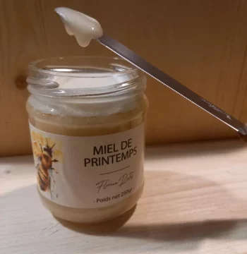 Miel de Printemps 250G